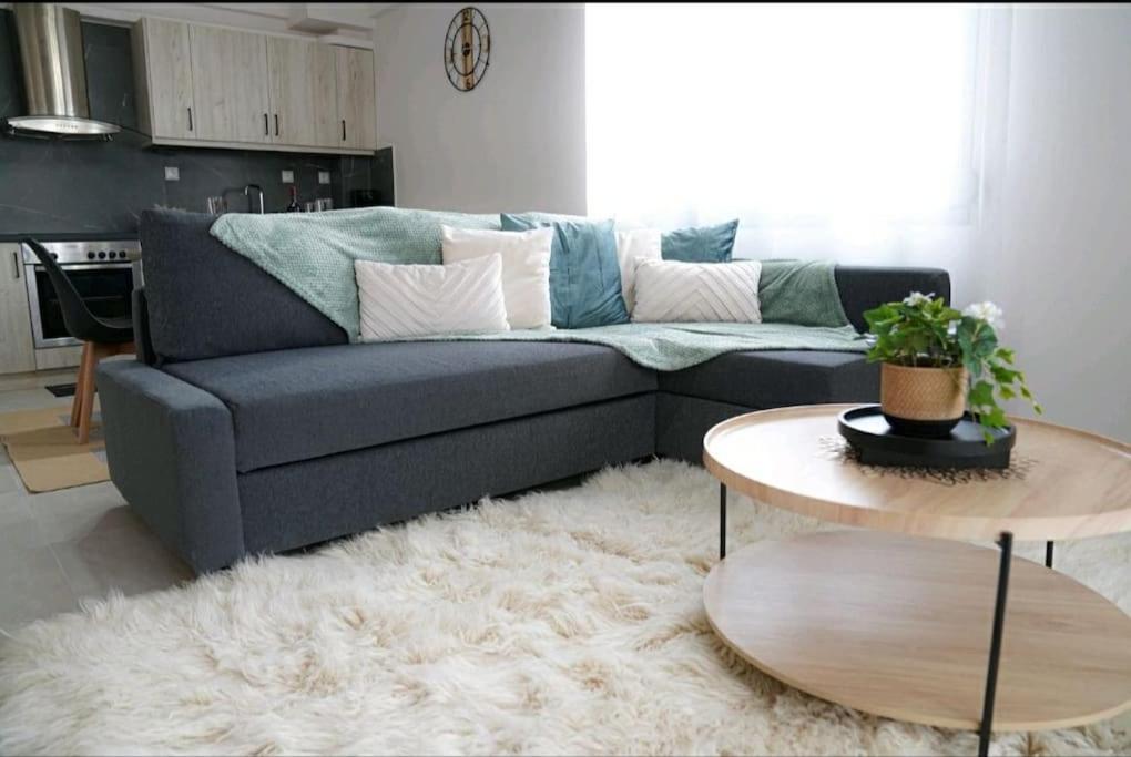 Apartment Neohoropoulo Lazou *